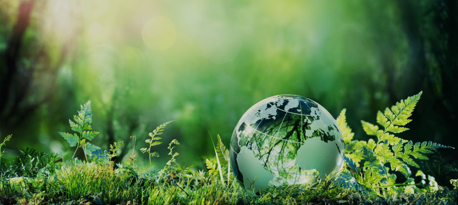 Best Dry Cleaner in Denver Colorado : About Lowry Cleaners in Denver Colorado