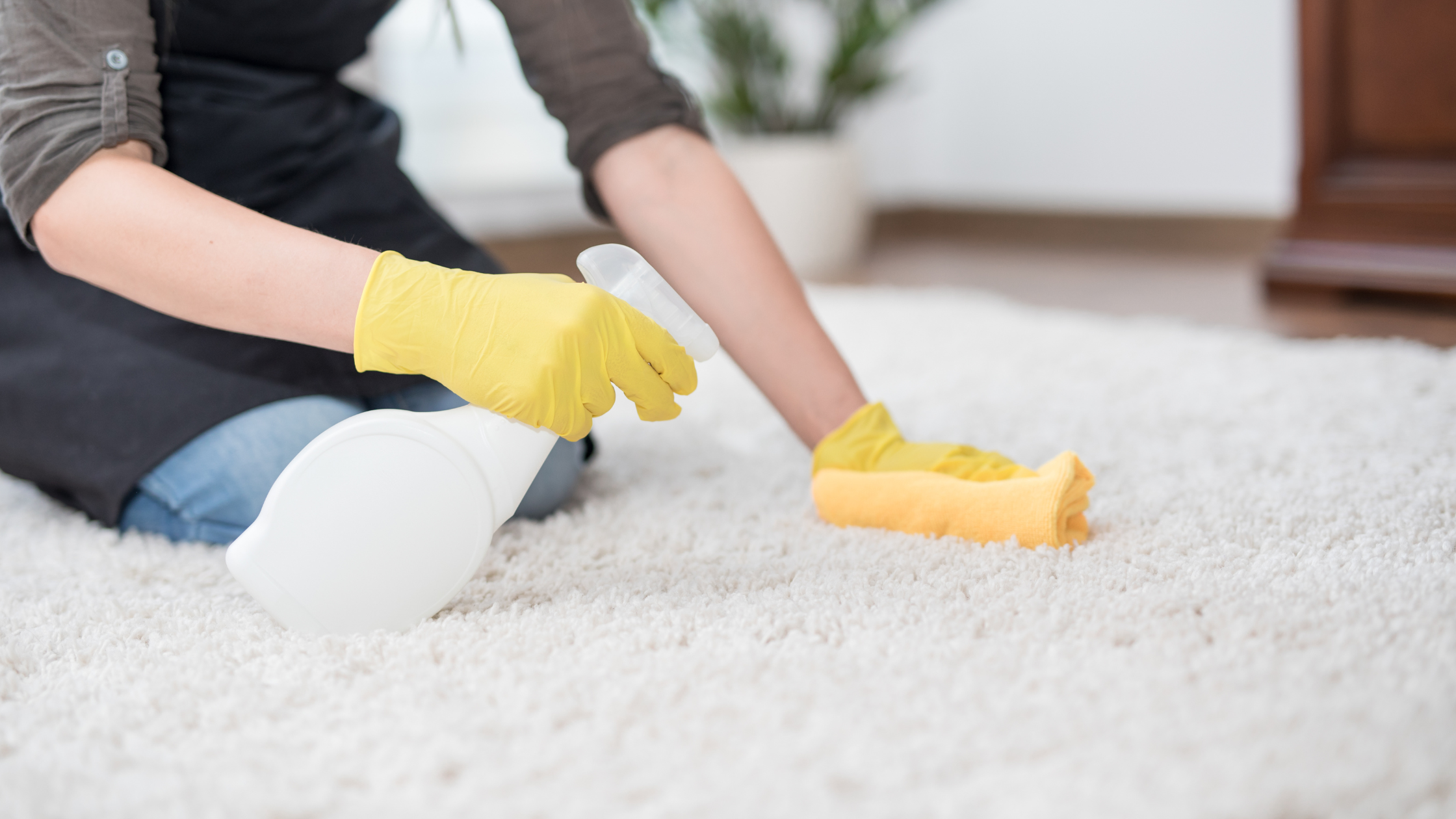 Area Rug Cleaning Denver