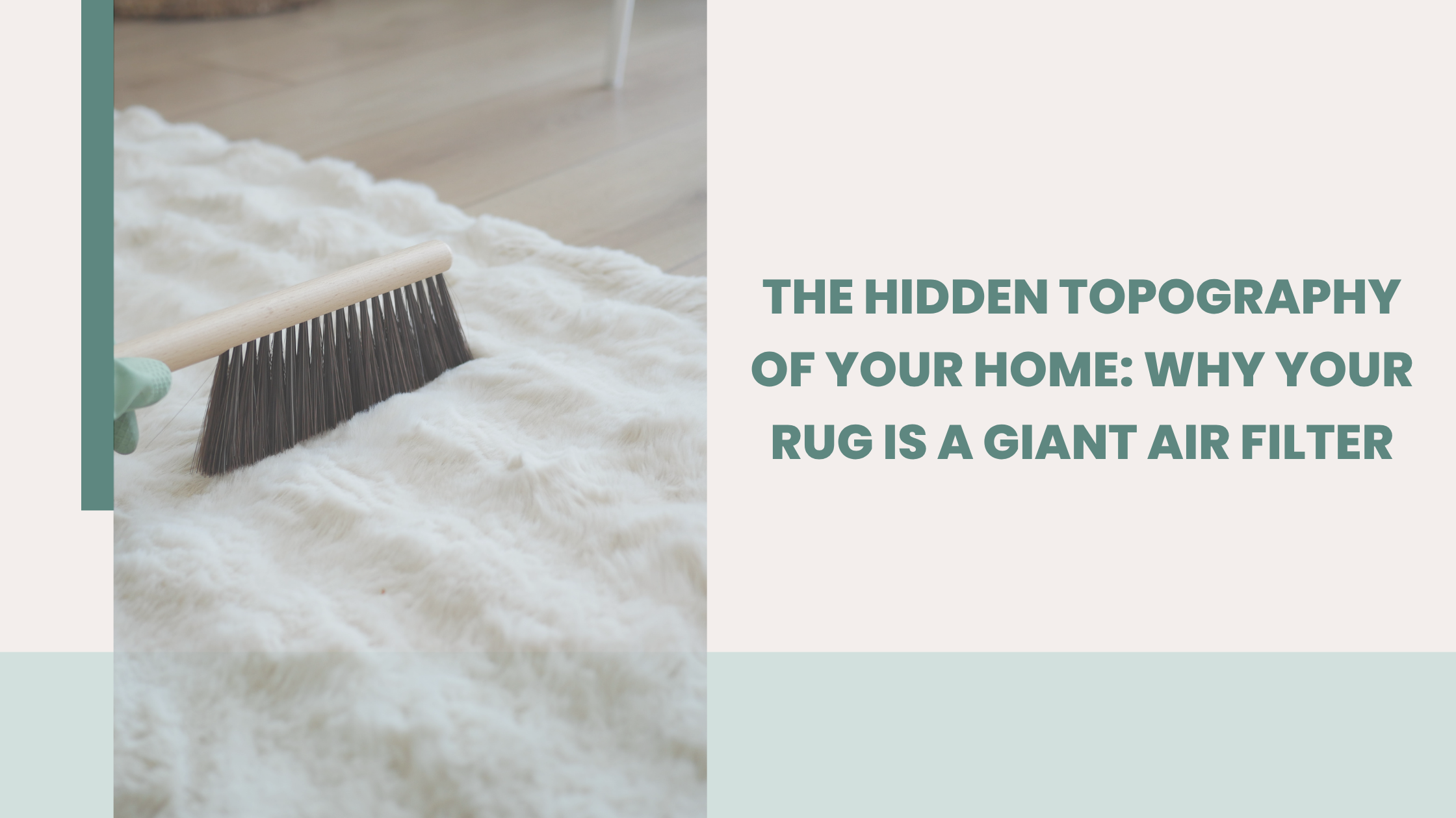 Expert Area Rug Cleaning Denver