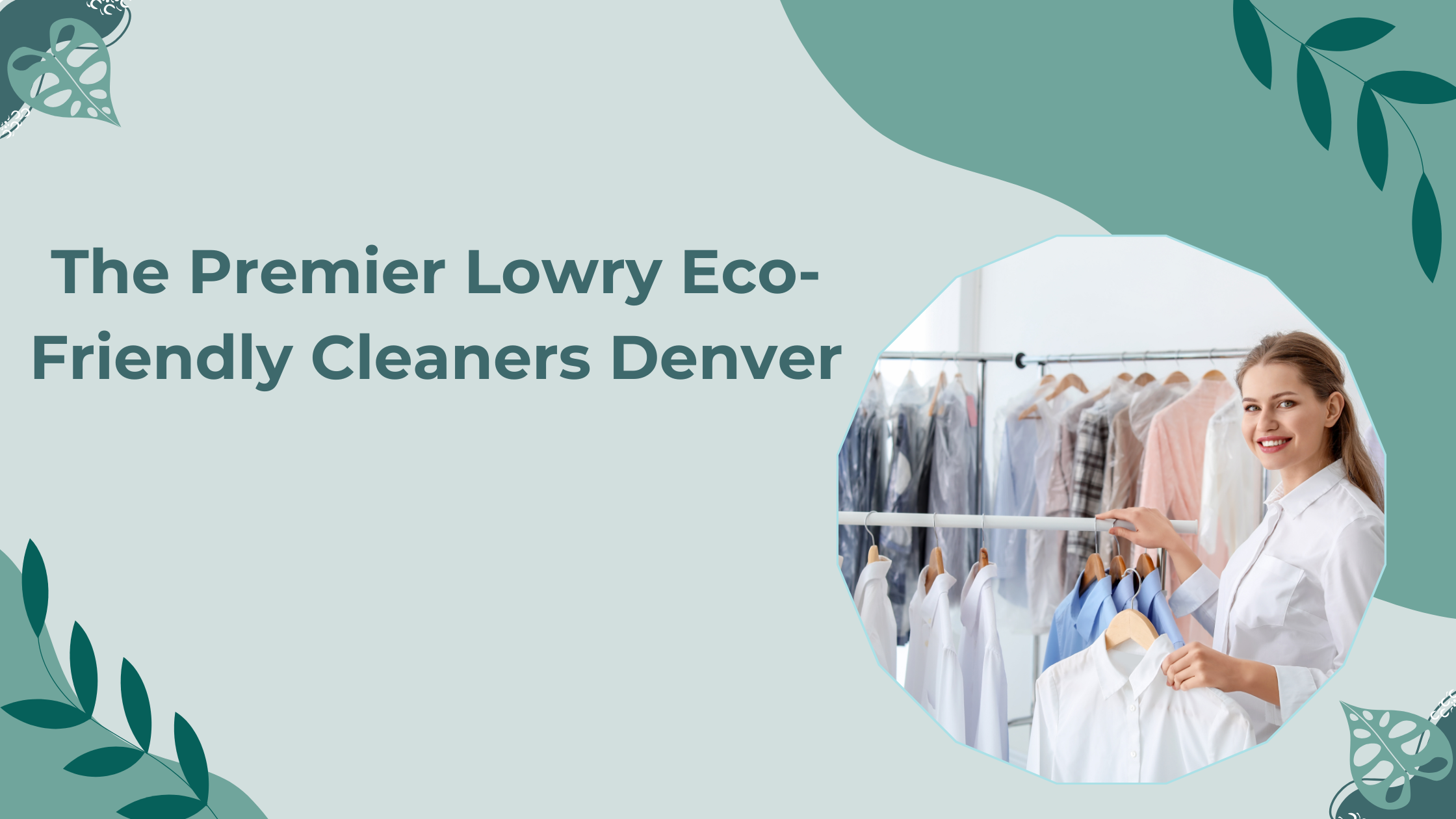Top Lowry Eco- Friendly Cleaners Denver
